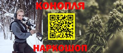 соль ск Кингисепп