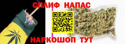 соль ск Кингисепп