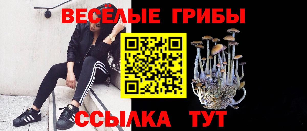 Галлюциногенные грибы Cubensis  Вход с VPN  Красногорск 